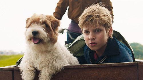 Remi, Nobody's Boy Season 1 Episode 18 - Episode 18