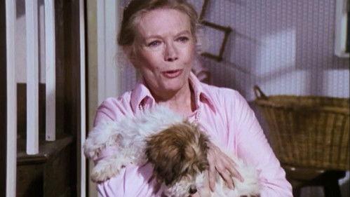 Family Season 4 Episode 9 - The Friend's Affair