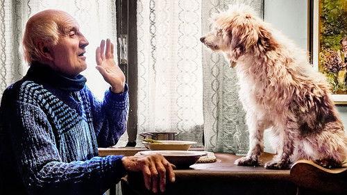 Storyville Season 26 Episode 9 - The Truffle Hunters