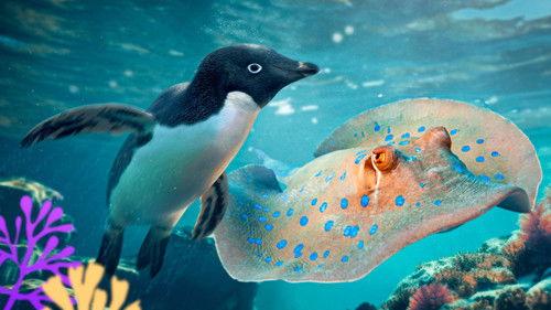 Reef School Season 2 Episode 18 - Lost Penguin