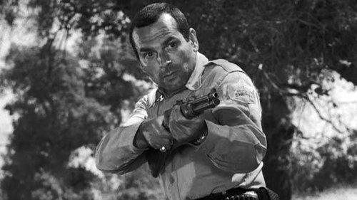 The Fugitive Season 2 Episode 7 - Tug of War