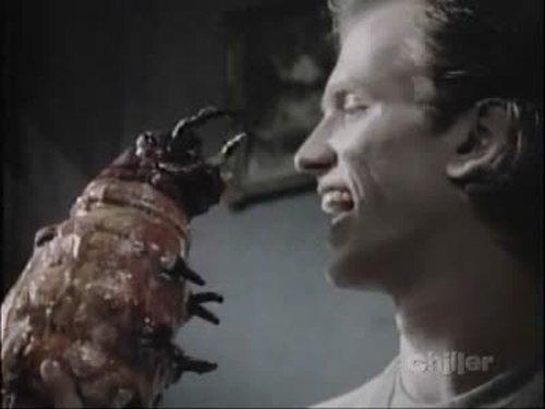 Monsters Season 3 Episode 3 - Bug House