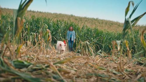 Bibi & Tina Season 1 Episode 4 - Episode 4