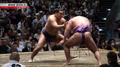 GRAND SUMO Highlights Season 29 Episode 8 - Day 8