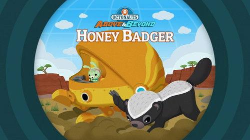 Octonauts: Above & Beyond Season 2 Episode 3 - Honey Badger