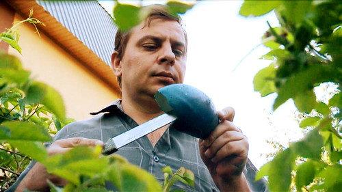 The investigation was conducted Season 14 Episode 16 - Episode 16