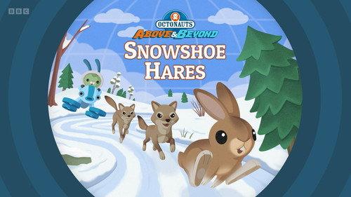 Octonauts: Above & Beyond Season 3 Episode 15 - Snowshoe Hares