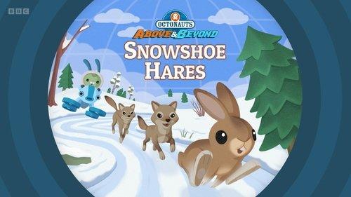 Octonauts: Above & Beyond Season 3 Episode 15 - Snowshoe Hares