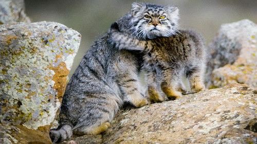 undefined Season 1 Episode 2 - Episode 2