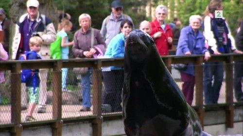 Akvariet Season 3 Episode 4 - Episode 4