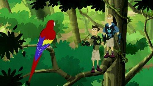 Wild Kratts Season 6 Episode 12 - Parrot Power