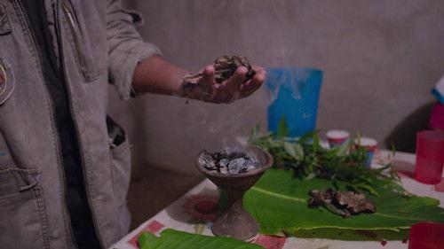 How to Change Your Mind Season 1 Episode 2 - Chapter 2: Psilocybin