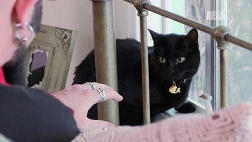 My Cat from Hell Season 5 Episode 2 - Blood Thirsty