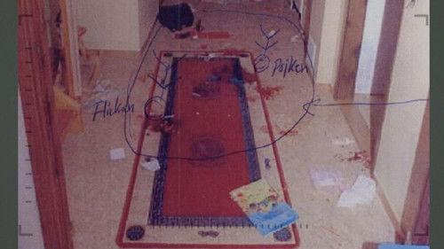 Svenska fall Season 2 Episode 1 - Child murders in Arboga - Part 1