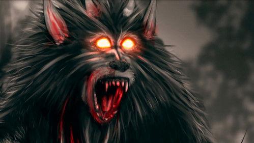 Strange Evidence Season 8 Episode 5 - Costa Rican Hunchback