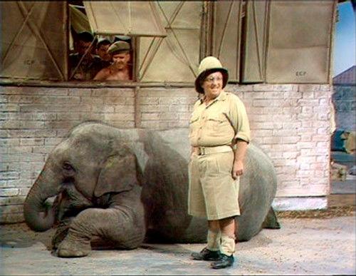 It Ain't Half Hot Mum Season 4 Episode 5 - Lofty's Little Friend