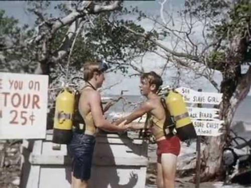 Flipper Season 3 Episode 10 - Executive Bud