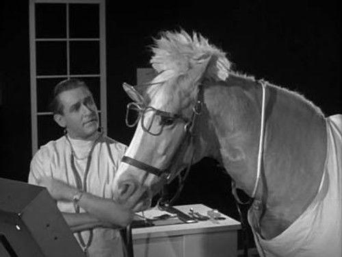 Mister Ed Season 3 Episode 25 - Doctor Ed