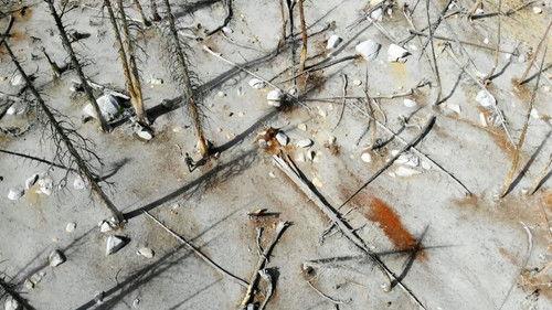 What on Earth? Season 7 Episode 2 - Bermuda Triangle of Space