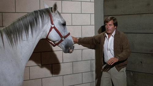 Hart to Hart Season 3 Episode 9 - Hartbreak Kid