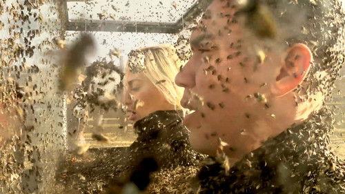 Fear Factor Season 2 Episode 7 - Exes From Hell