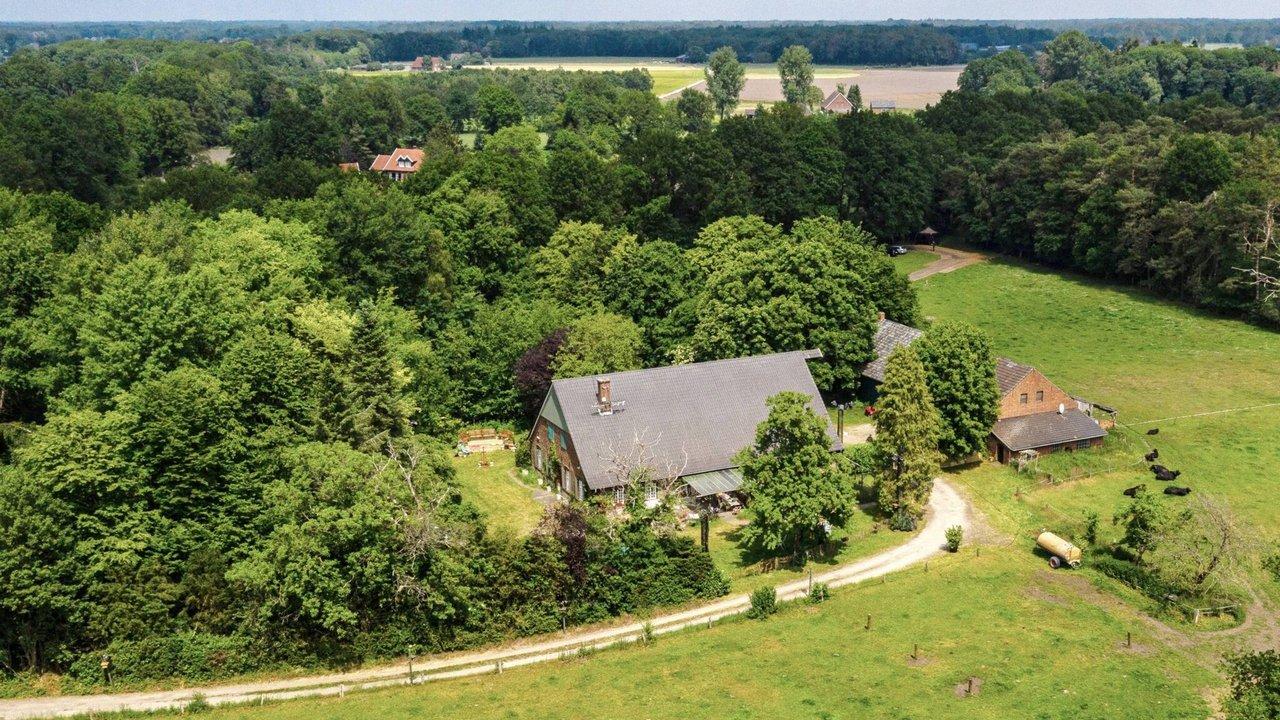 Das Sommerhaus der Stars - Kampf der Promipaare backdrop