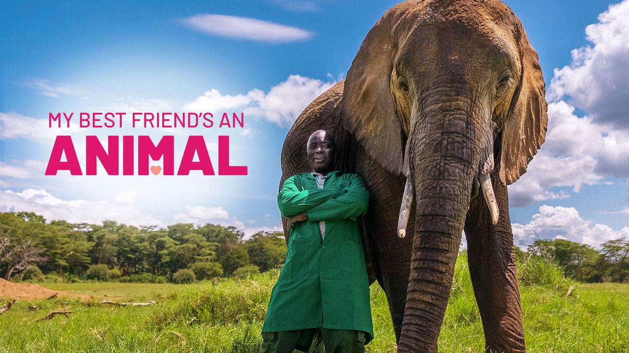 My Best Friend's An Animal backdrop