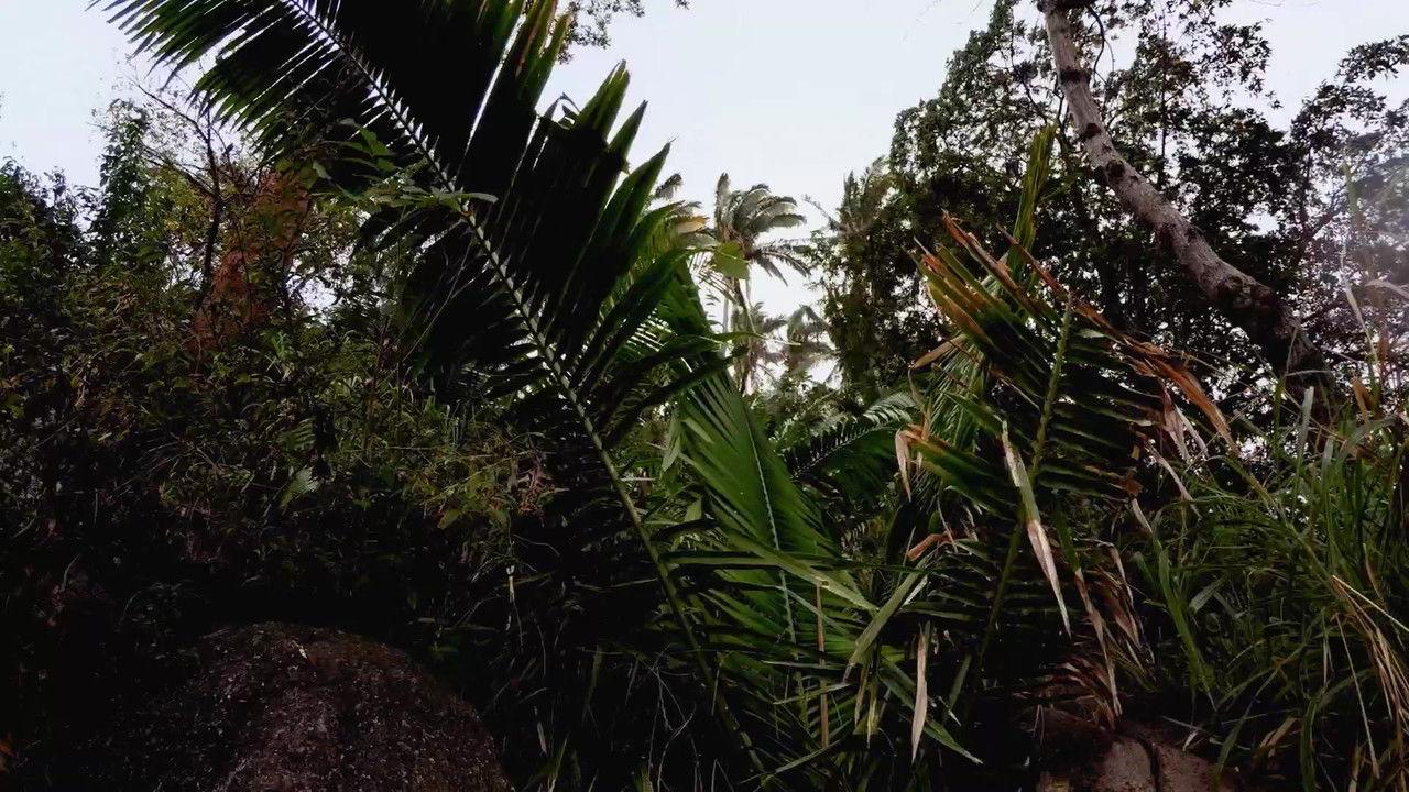 Seasons of the Wild backdrop