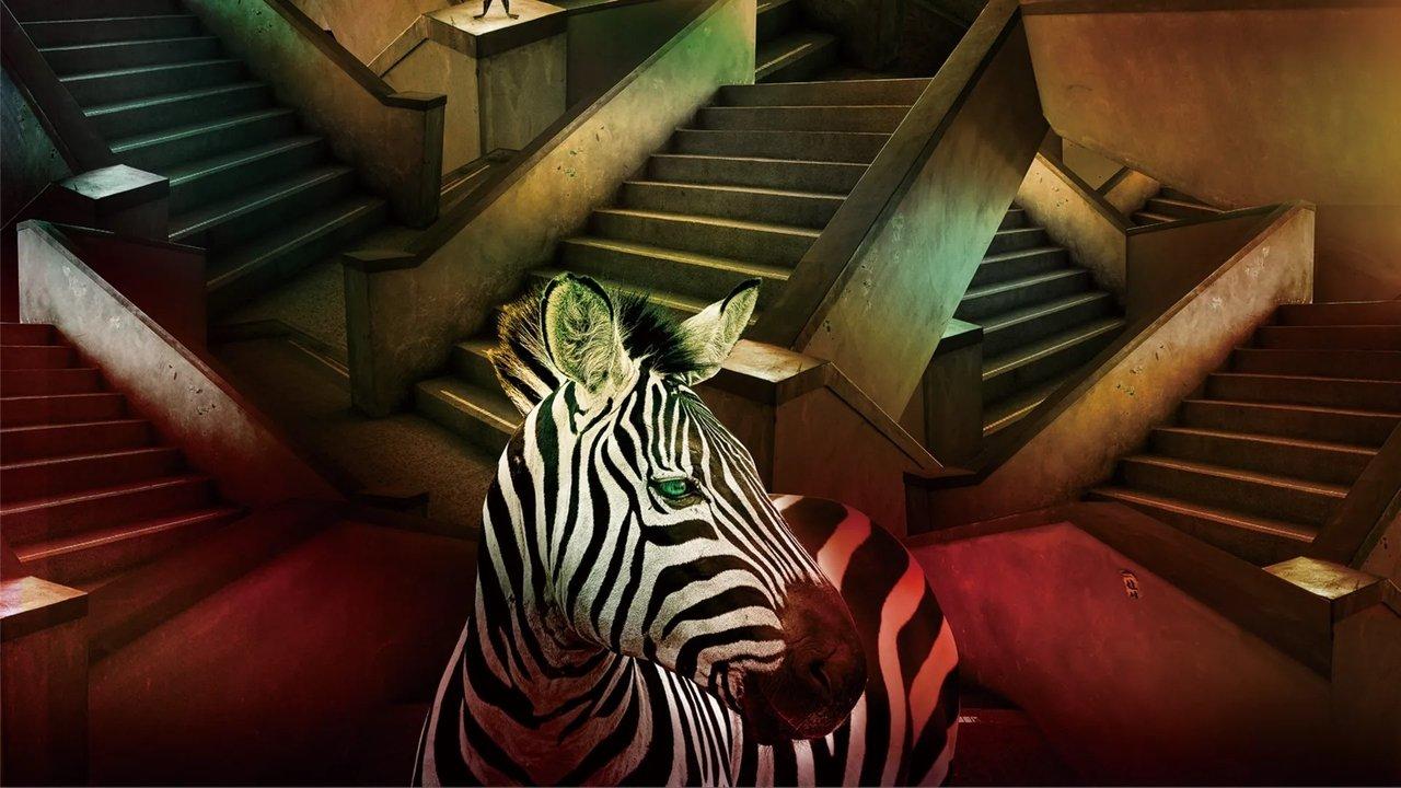 The Magician on the Skywalk backdrop