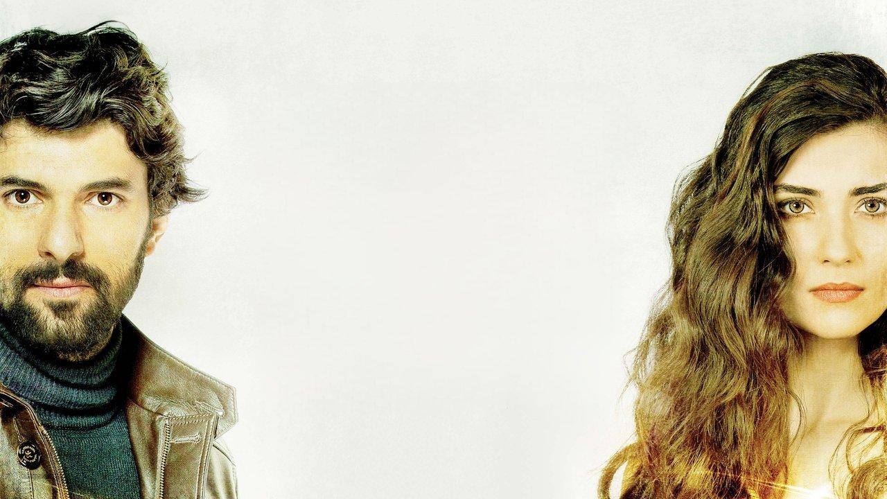 Black Money Love backdrop