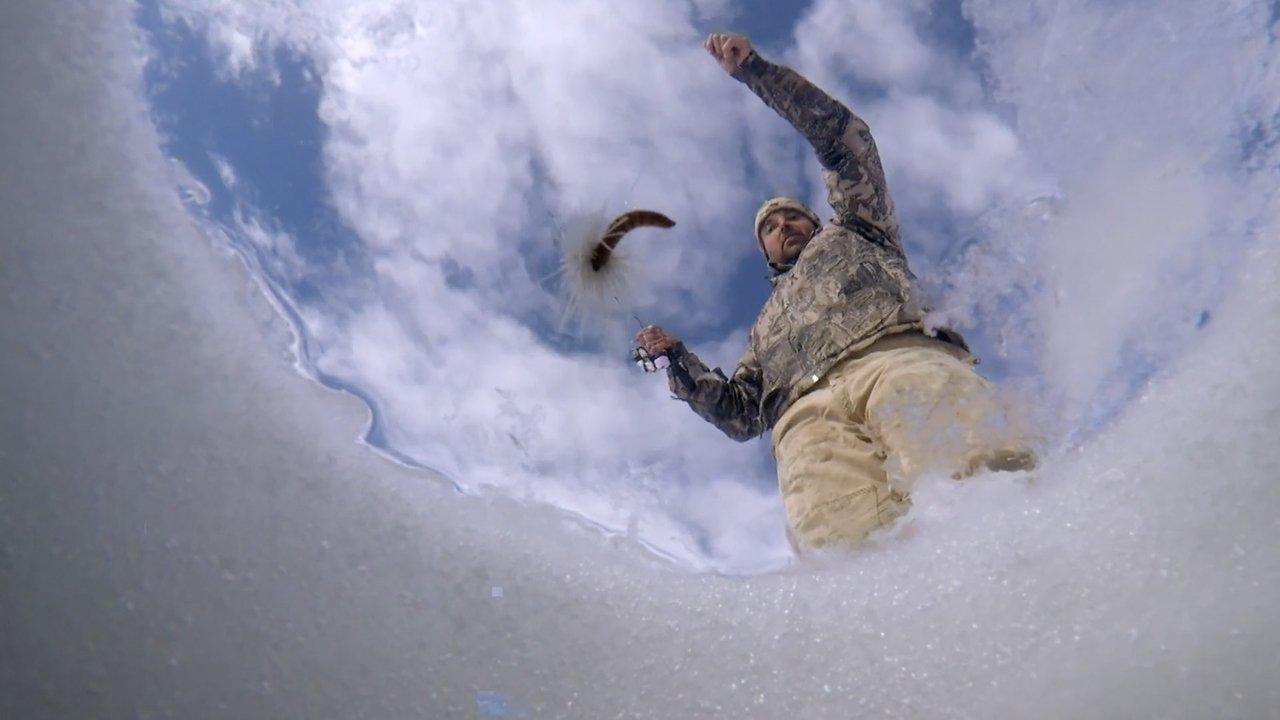 Montana Wild backdrop
