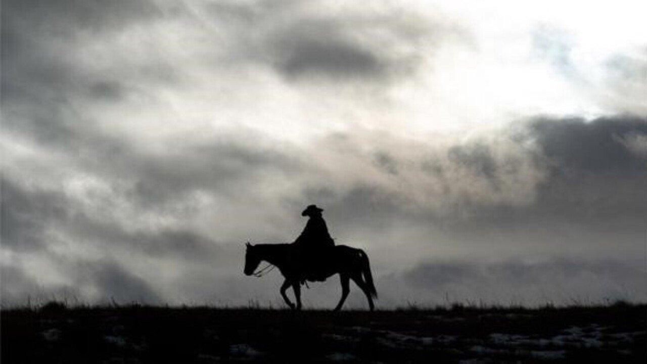 Bring on the Dancing Horses backdrop