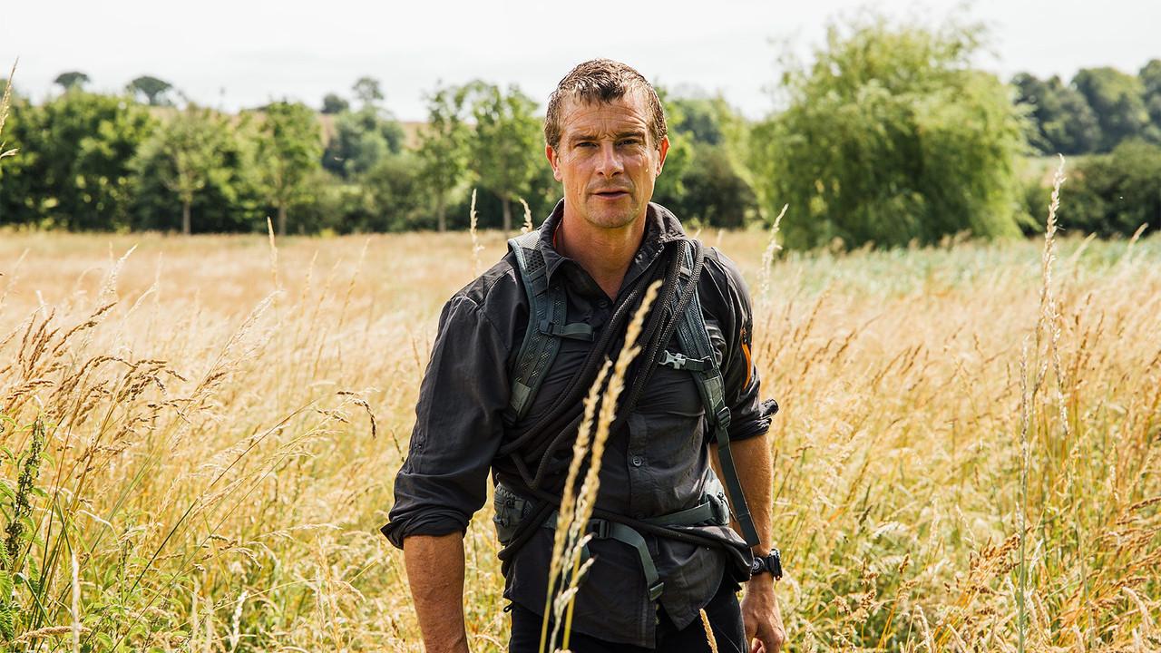 Bear Grylls - Wild Reckoning backdrop