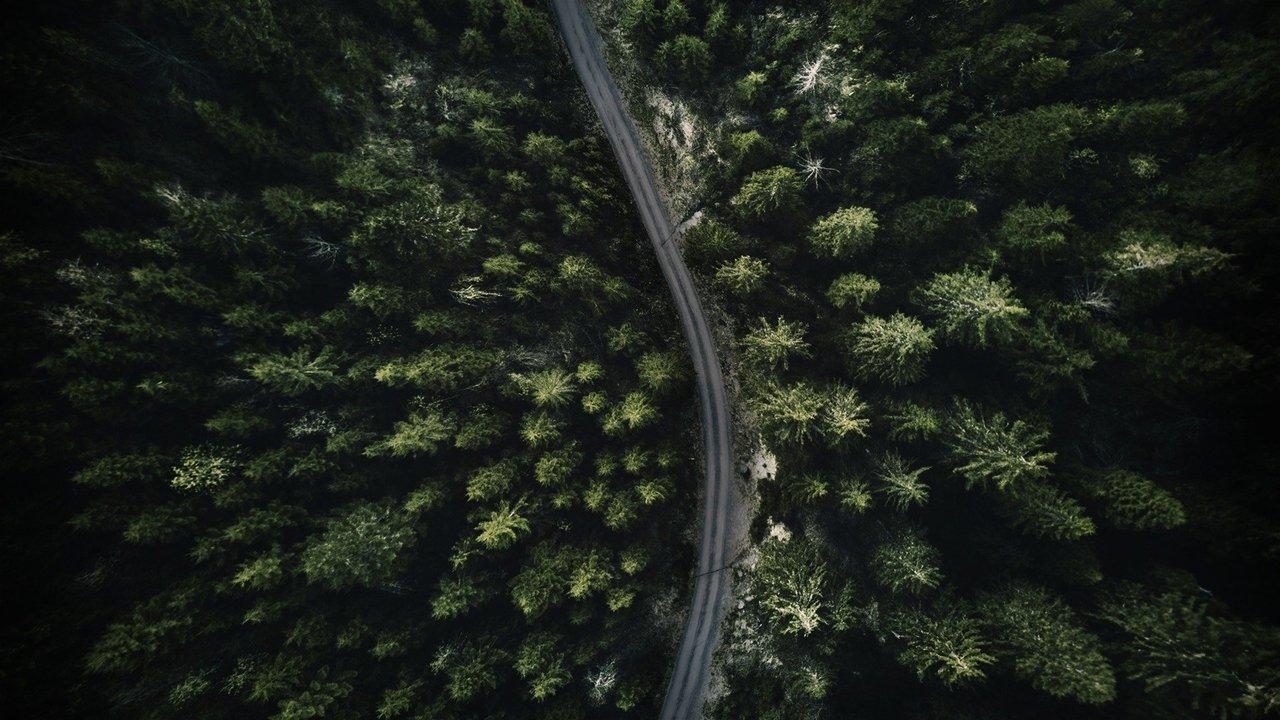 The Wonderland Murders backdrop