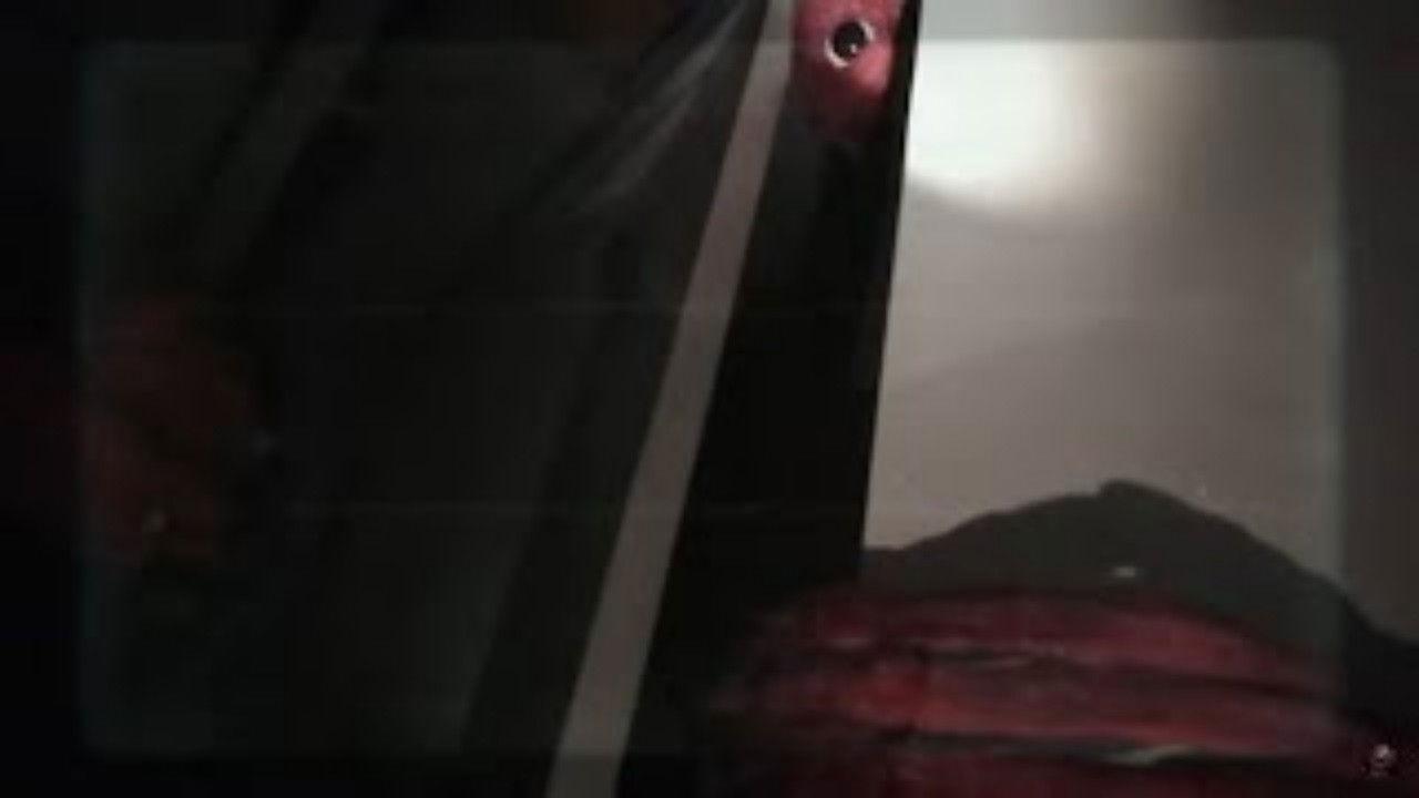 Vita Carnis backdrop