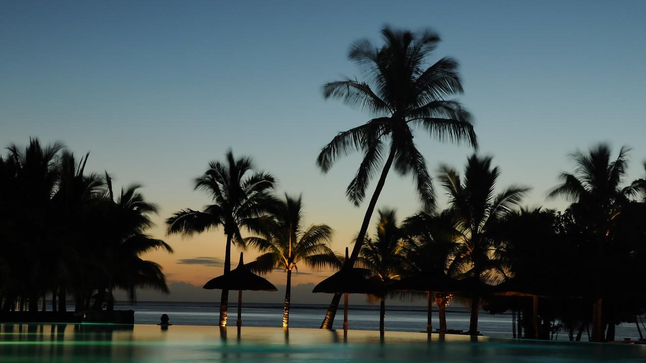 Die letzten Paradiese backdrop