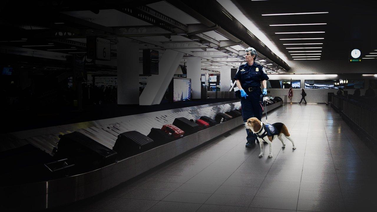 To Catch a Smuggler backdrop