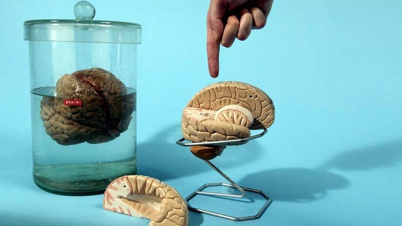 Look Around You backdrop