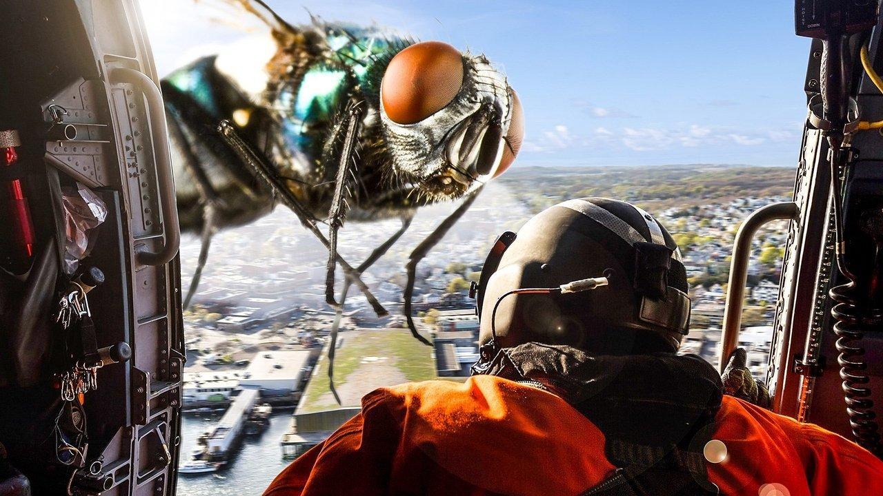 Size Matters backdrop