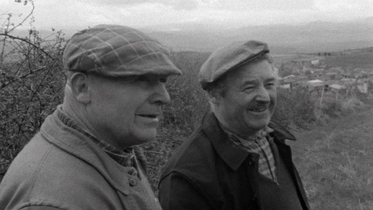 The Sorrow and the Pity backdrop