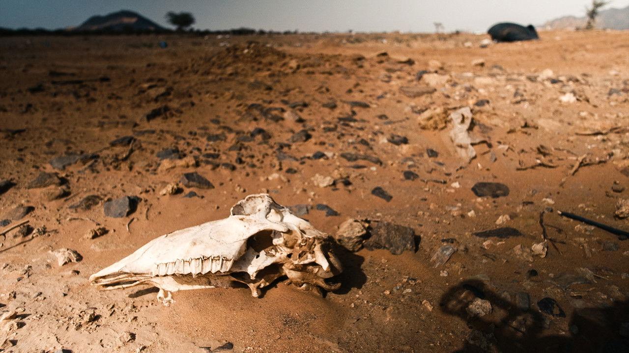 Life at 50°C backdrop