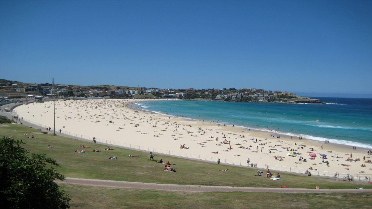 Bondi Rescue backdrop