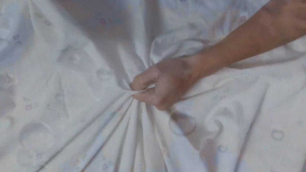 An Andalusian Bitch backdrop