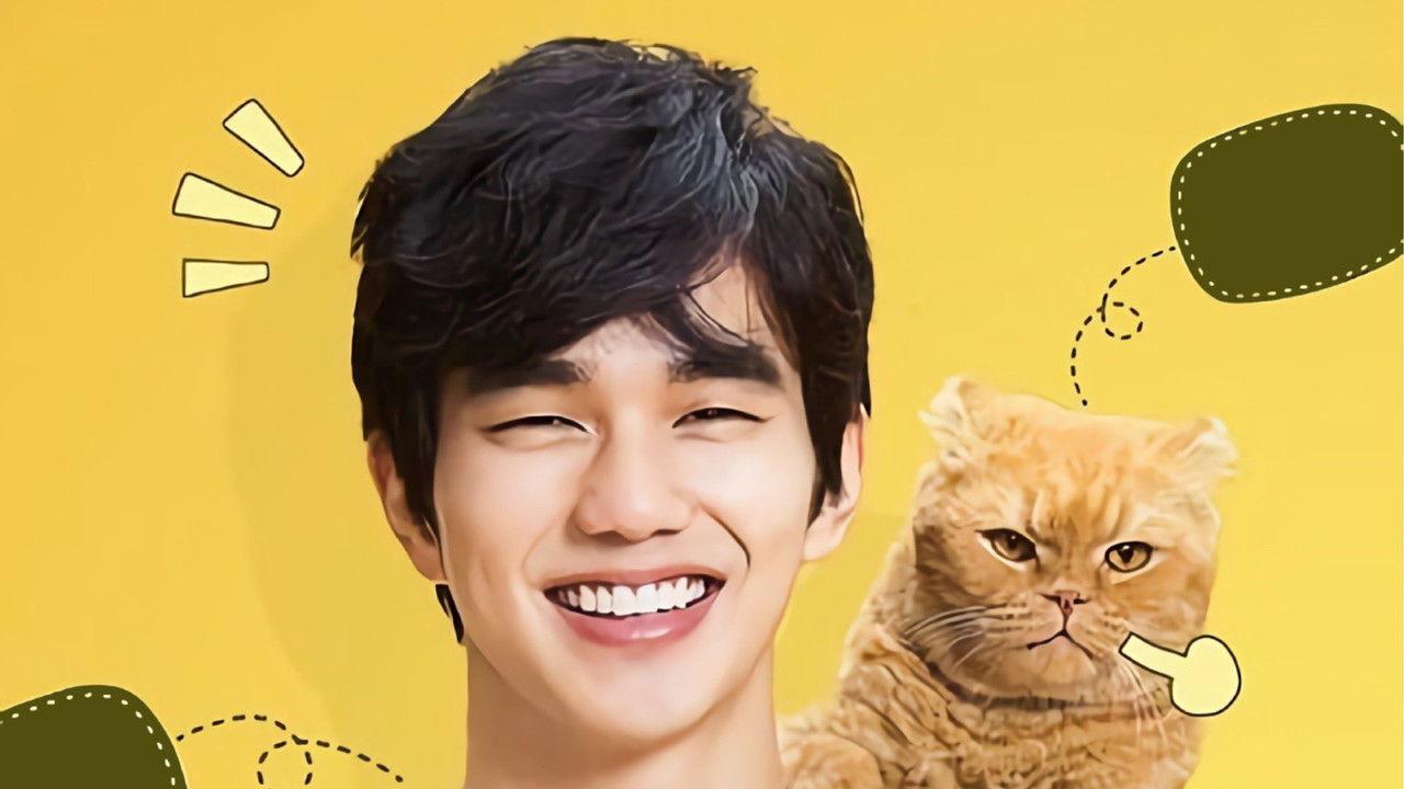 Imaginary Cat backdrop