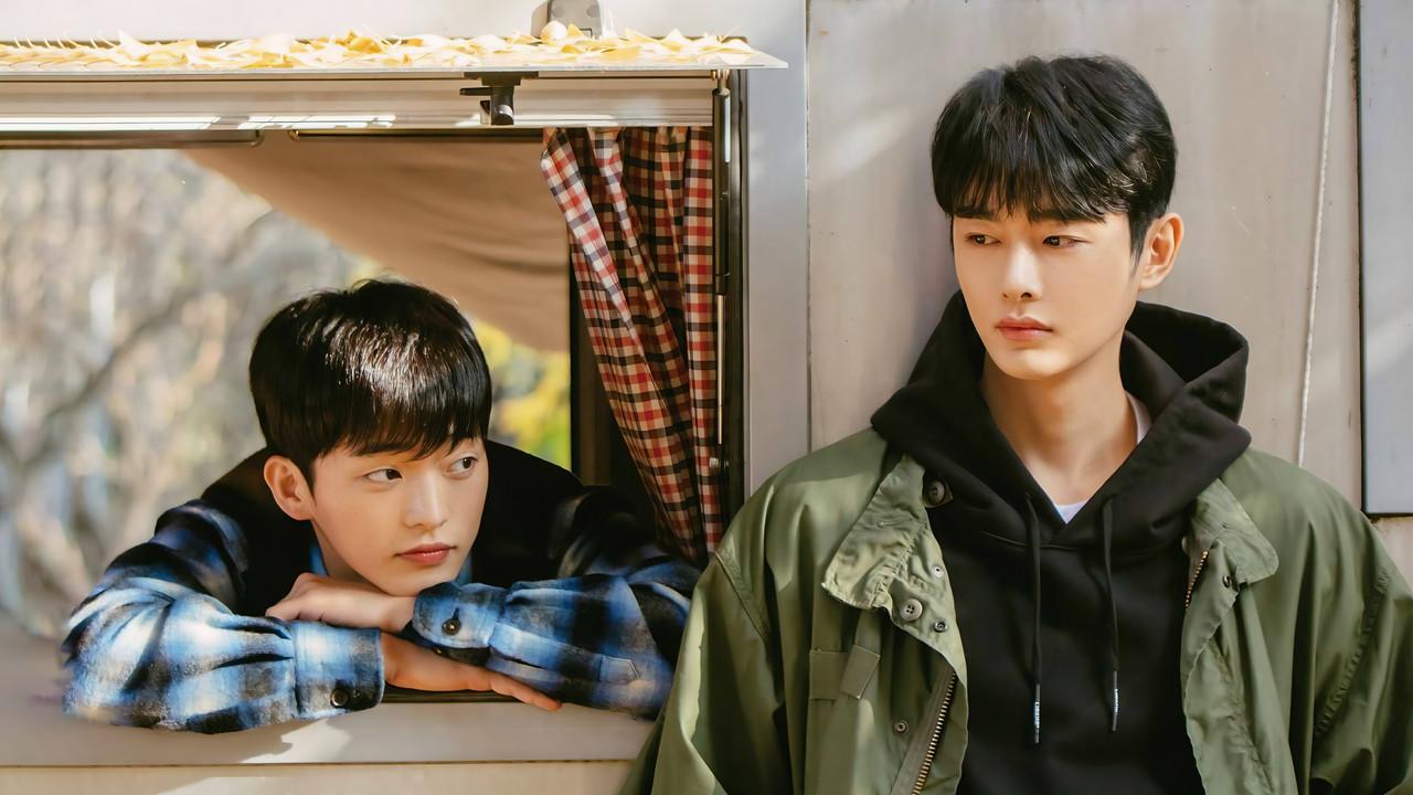 Cherry Blossoms After Winter backdrop