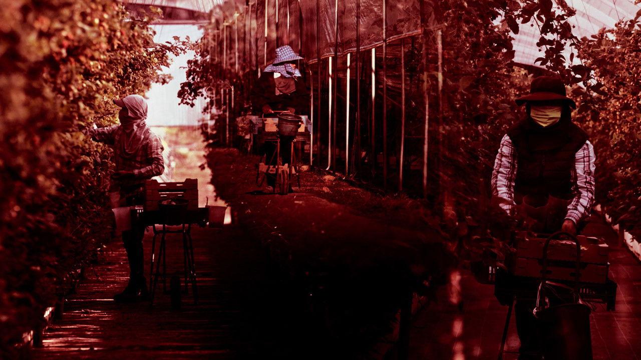 Efeito de Estufa backdrop