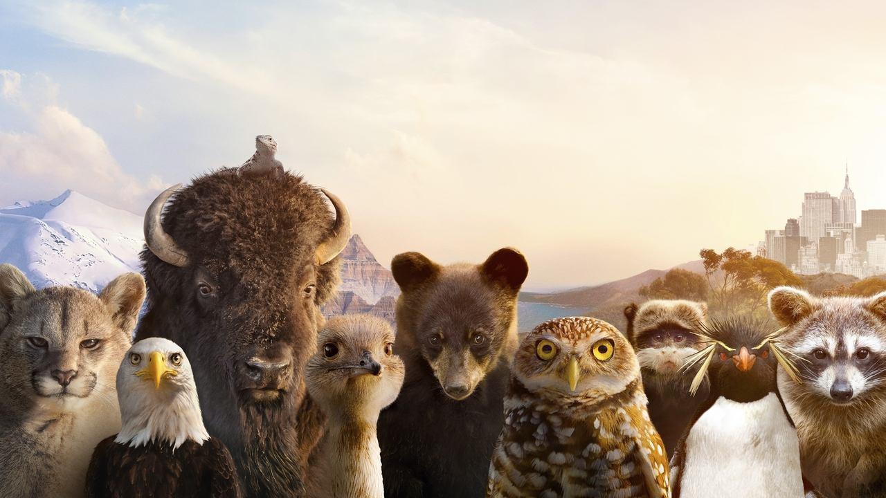 The Americas backdrop