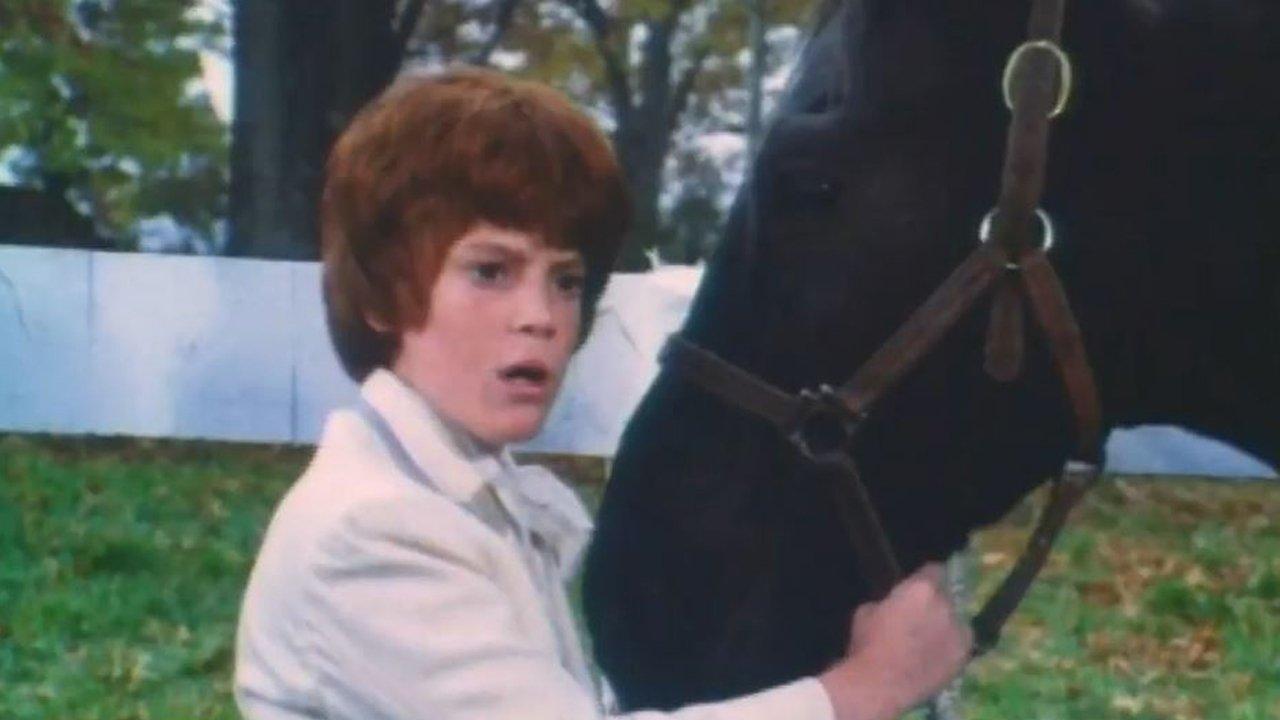 Black Beauty backdrop