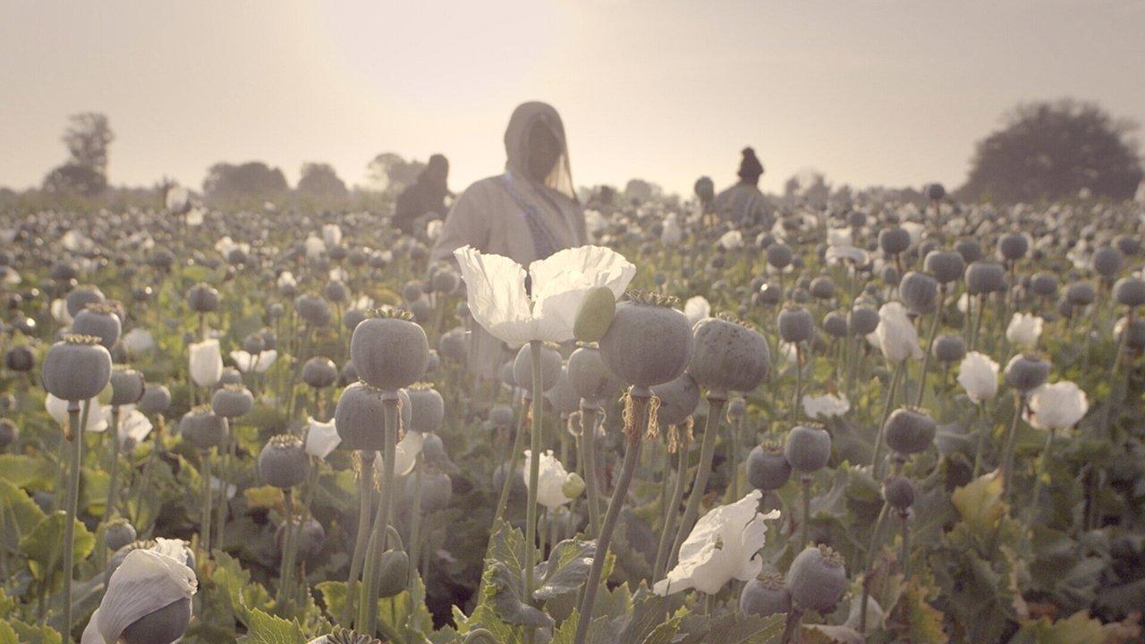 The Crime of the Century backdrop