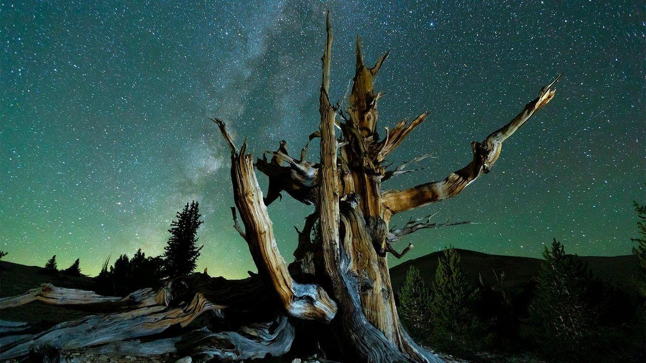 Planet California backdrop